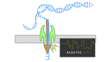 Principle of nanopore sequencing